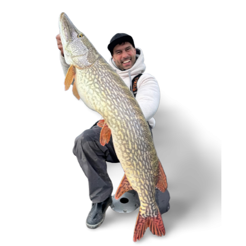 Enrico di ventura_image_7